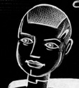 Illustration from page 307 by 